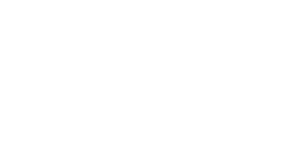 Logo Staij